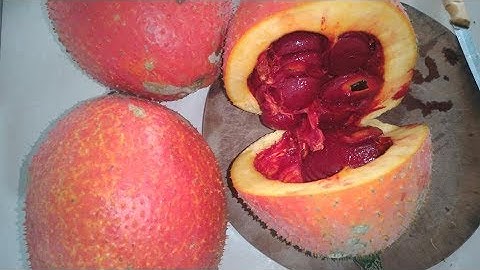 Cách bảo quản gấc đúng cách