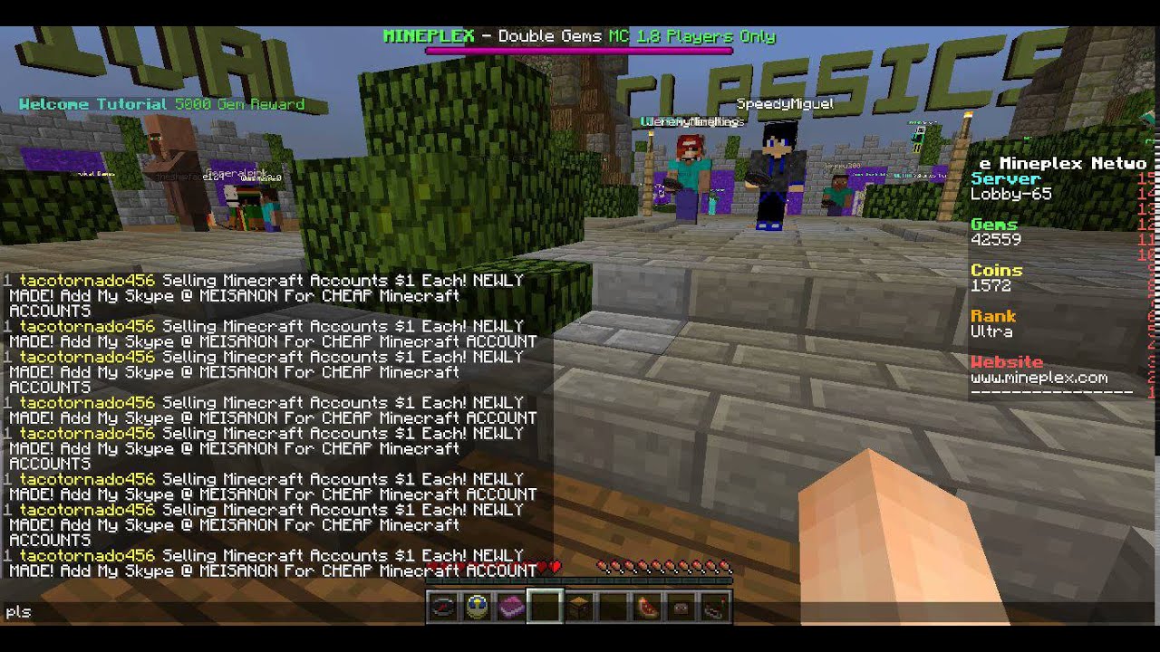 minecraft us mineplex com advertiser spammer youtube