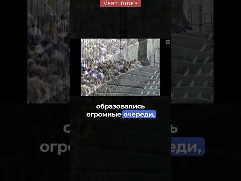 Почему мост начал шататься? #vertdider #veritasium