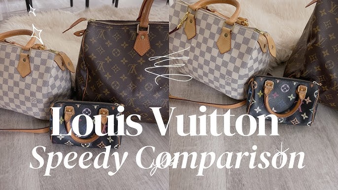 Louis Vuitton Mini Speedy – SFN