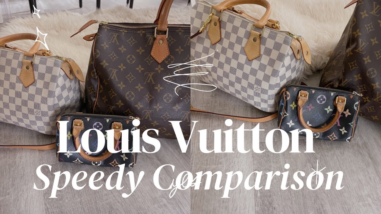 Nano Speedy vs. Speedy 20 vs. Speedy 25 : r/Louisvuitton