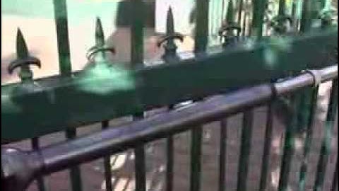 CENTURION VECTOR swing gate operator overview   Official video