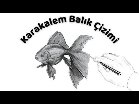 Karakalem Balık Çizimi - Karakalem Balık Nasıl Çizilir
