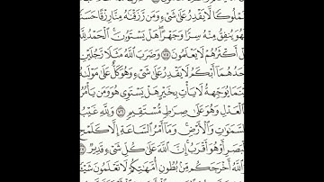 سورة النحل 73-79 (٢٧٥)     Sheikh Anas AlHibri