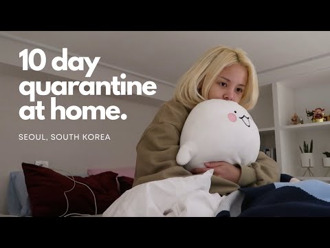 quarantine vlog 🏡