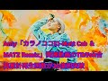 Anly「カラノココロ-Matt Cab & MATZ Remix」関連動画のTikTok合算累計再生回数が20億回突破