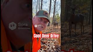 Coot Goes On A Deer Drive
