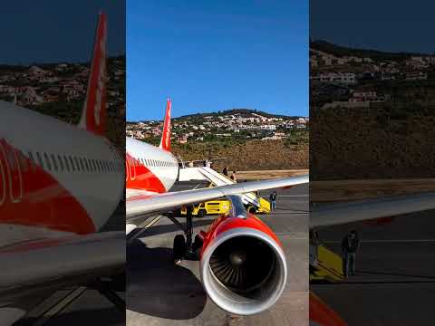 إرحل ولا تتردد رحيل العلم الإمام الشافعي