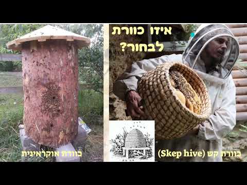 וִידֵאוֹ: כיצד ניתן לגשת לכלי היד תוך שימוש בכל כלי אחר?