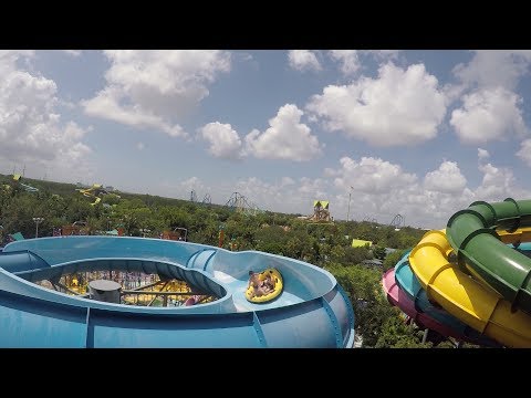 Our Day At Aquatica For Orlando Water Park Week Quick Queue Lunch More Tips Youtube