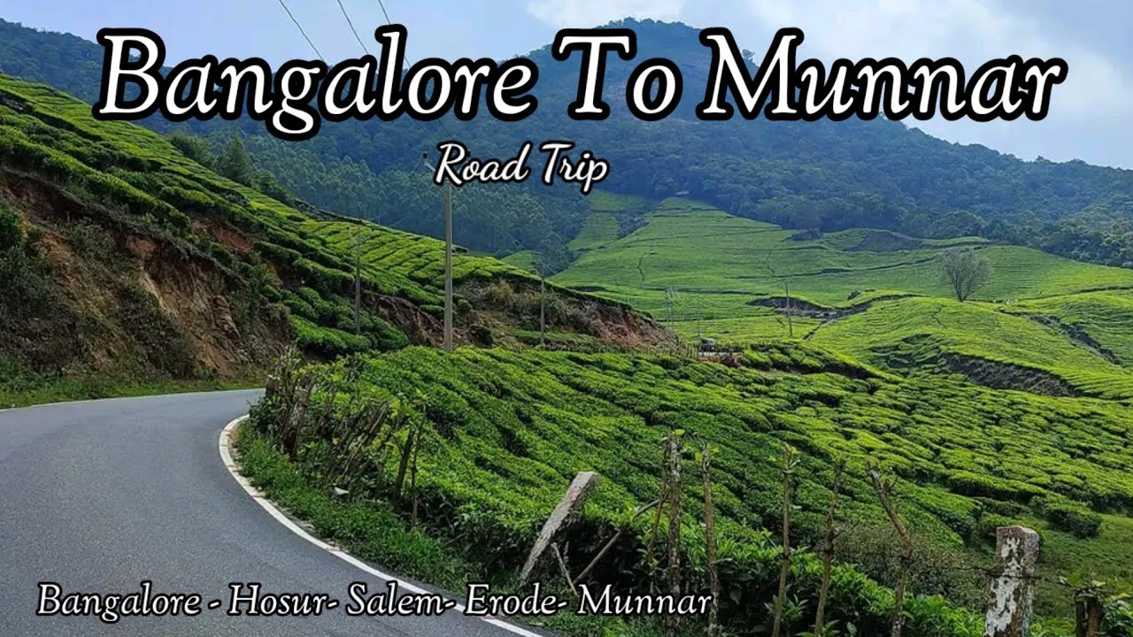 Bangalore to Munnar Road Trip| Road Trip from Bangalore to Munnar| Best Route