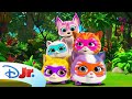 Superkitties Su-Purr Adventures: Su-Purr Wild (Song) 