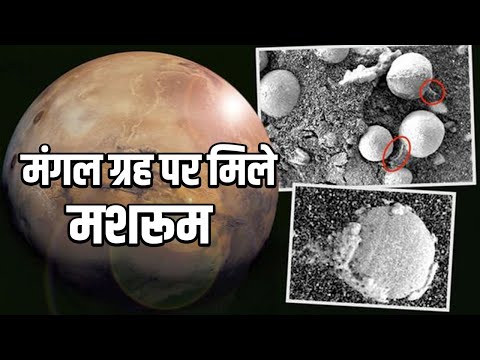 जब मंगल ग्रह पर मिले मशरूम । वैज्ञानिको के उड़े होश ।
