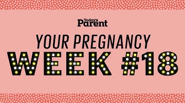 Your pregnancy: 18 weeks