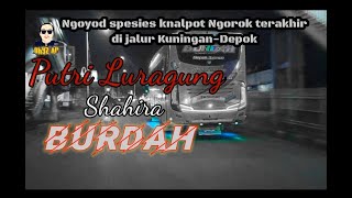 Satu-satunya bus di jalur KUNINGAN-DEPOK yg masih berSuara NGOROK. PUTRI LURAGUNG Shahira Burdah