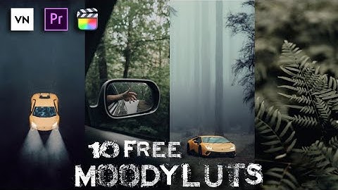 10 Free Moody Free Luts | VN LUTS | Colour Grading In Mobile (VN Editor) | Premiere Pro Luts | FCPX