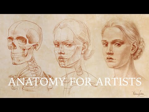 7 Erroneous Beliefs about Anatomy for Artists