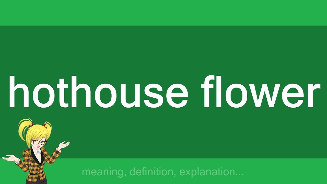 hothouse flower YouTube