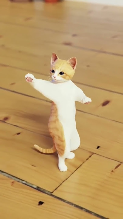 Cat dance on Jhomy jo pathan song 😂😂