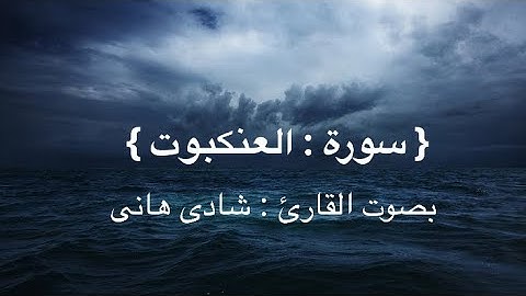 تلاوه هادئه للقلب || بدون مؤاثرات صوتيه || ما تيسر من سورة العنكبوت || بصوت القارئ شادى هانى #quran