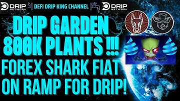DRIP GARDEN 800,000 PLANTS UNLOCKED! 🪴💧 FOREX SHARK DROPS FIAT ON RAMP UPDATES FOR DRIP NETWORK! 🦈🔥💧