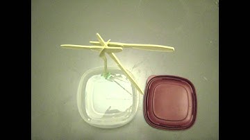 How Does an Offshore Wind Farm Work?