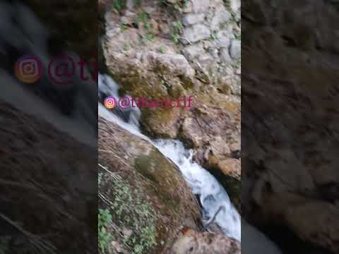 Najat alhoceima:oryin waman
