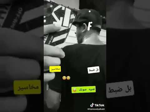 حسافه عل ماوفو