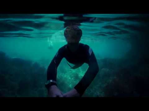 Solitude Night Dive and Snake Island