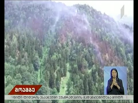 სოფელ ზესხოში ხანძრის რამდენიმე ახალი კერა გაჩნდა