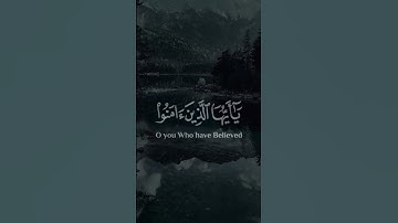 سورة الاحزاب  #coran #quran #راحة_نفسية #قرآن