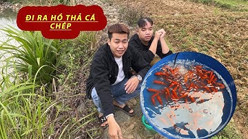 TK | Đi Thả Cá Tiễn Ông Công Ông Táo Về Trời