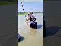 Wading Through Muck: How a Simple Spear and Rope Catch Fish in Shallow Waters
