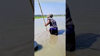 Wading Through Muck: How a Simple Spear and Rope Catch Fish in Shallow Waters