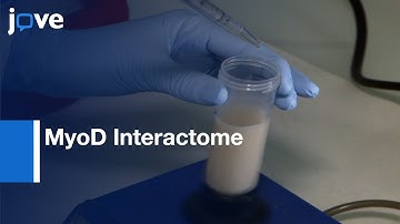 Identification By Tandem Affinity Purification Coupled To Mass Spectrometry l Protocol Preview