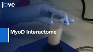 Identification By Tandem Affinity Purification Coupled To Mass Spectrometry l Protocol Preview