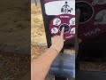 Как в загнивающей Франции убирают собачьи фекалии #загнивающаяевропа #франция #хардин #собаки #rec