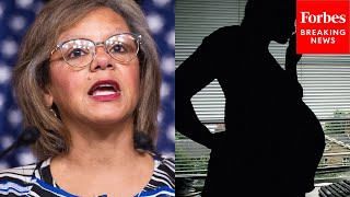 Robin Kelly Asks Witness Why Black Women Are More Likely To Die During Pregnancy