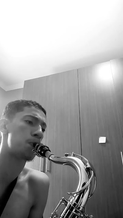 Boas Festas 🎷 #saxophone #musica #music #saxcover #natal #musicasdenatal #boasfestas #anoiteceu