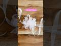 ✂️super easy corsage ribbon tutorial