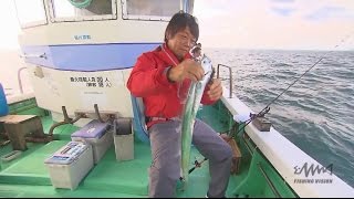 #103 大阪湾のタチウオ