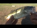 Finesse fishing for bass pescando por lobinas