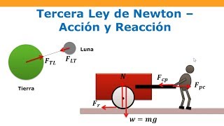 Qué dice la primera, segunda y tercera ley de Newton? | Ciencia | La  República