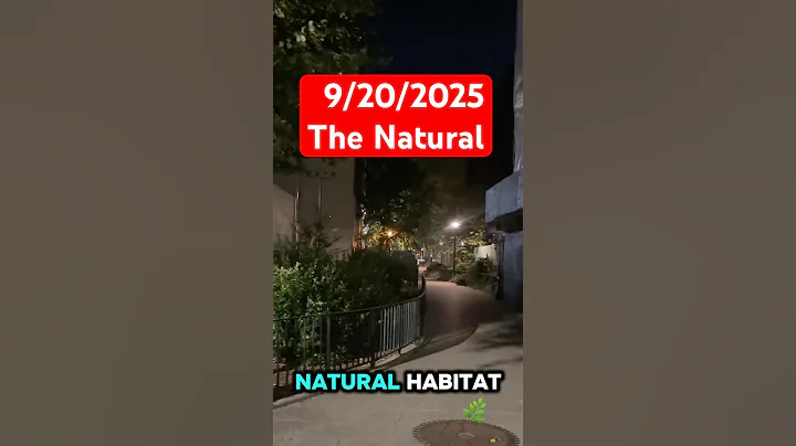 NYC concrete jungle story #fyp #reels #news #americanpolitician #fypシ #newyorklaw #history #myths