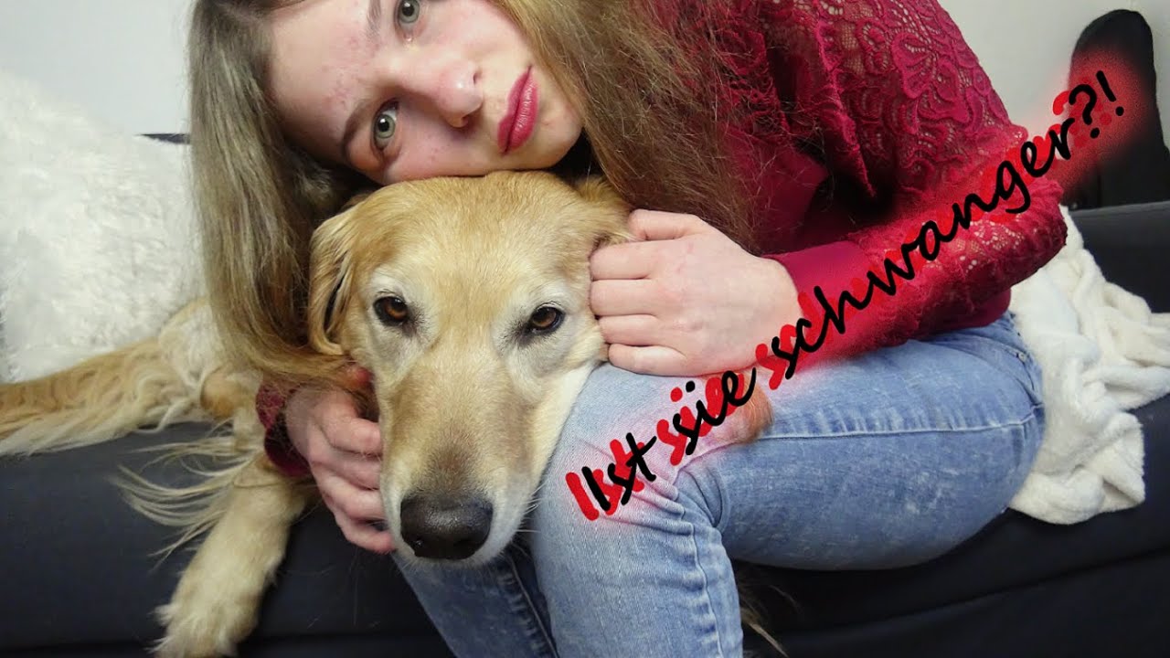 Ist sie trächtig? Ultraschall beim Hund YouTube