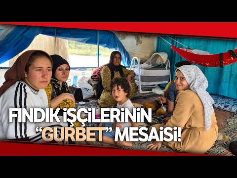 Ekmek Parası İçin