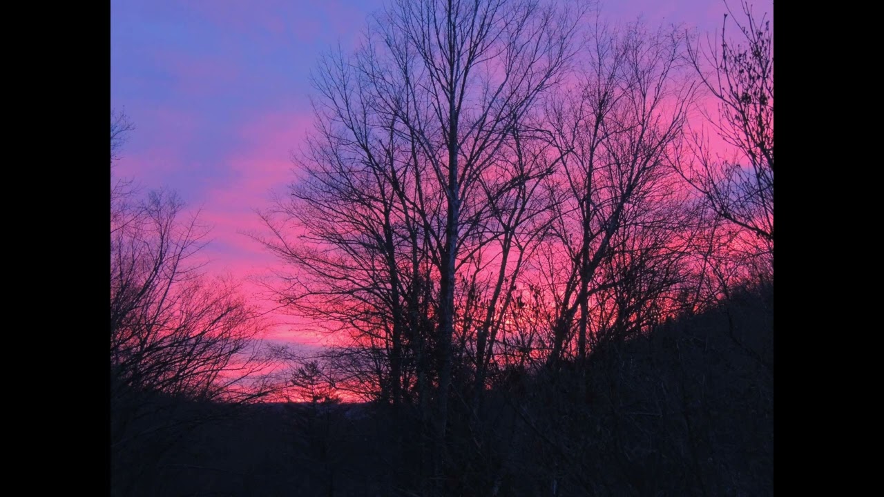 "Parting"   for Strings (with MuseScore4)