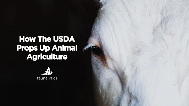 Faunalytics Explains: How The USDA Props Up Animal Agriculture