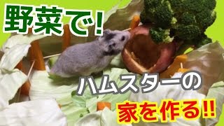 野菜でハムスターの家を作ろう！