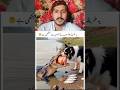 ye insano Ki hi chal Hy #shortsfeed